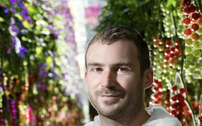 Voltiris : quand la lumière devient une ressource partagée entre plantes et énergie