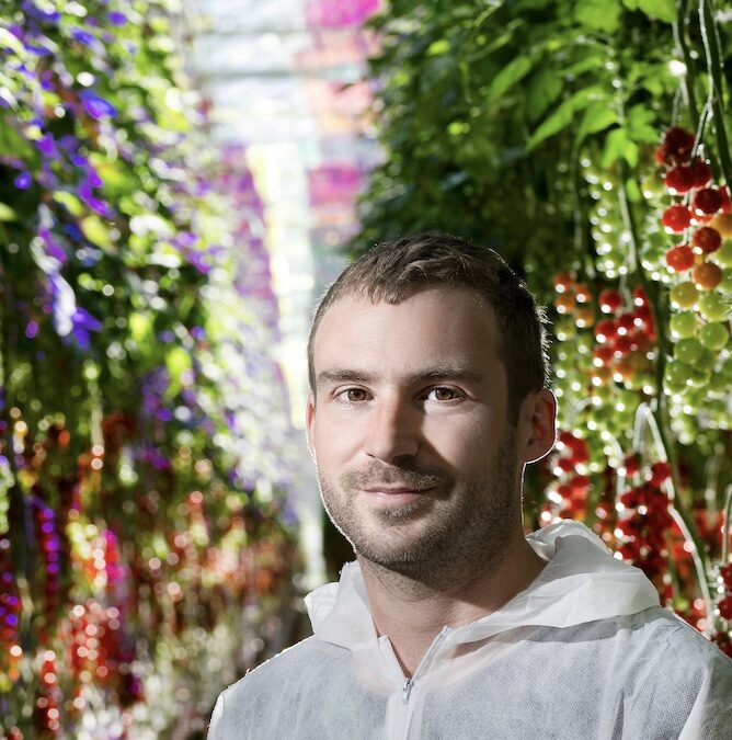 Voltiris : quand la lumière devient une ressource partagée entre plantes et énergie